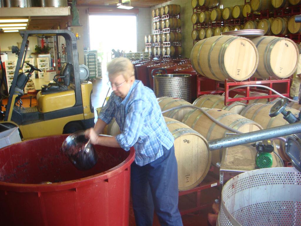 Wine Making Class